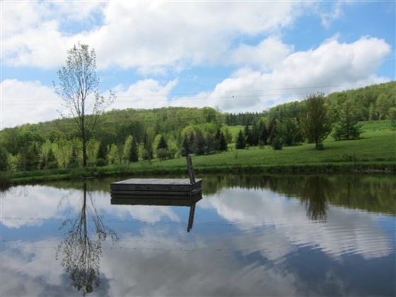 There is no cell phone or Internet reception at this secluded swimming pond in Franklin, N.Y., on the site of a recent yoga retreat. It lets even the most avid Facebook users disconnect for a serene weekend.